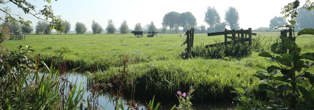 Bed & Breakfast Bed&breakfast Yerseke *